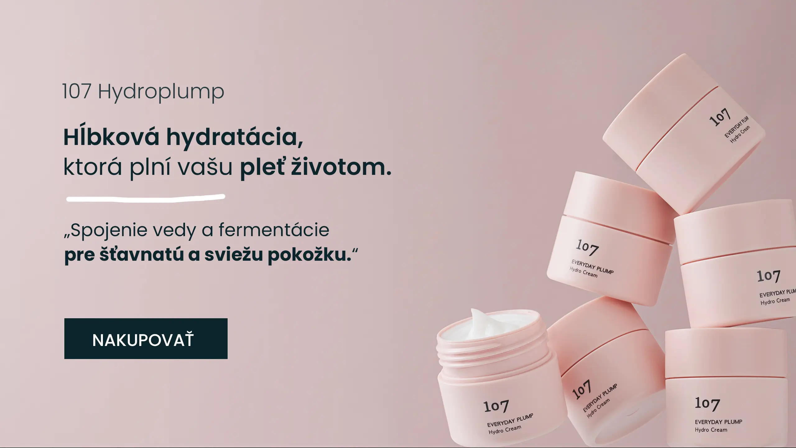 107-everyday-plump-promo